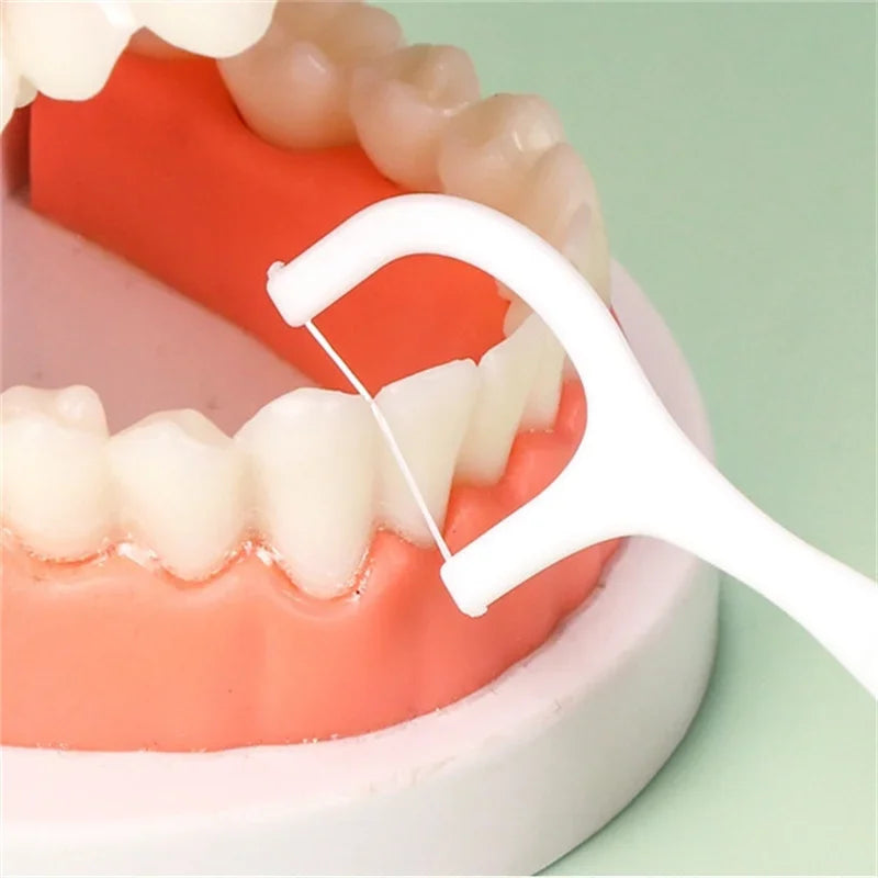 Portable Dental Floss Picks Box - close-up detail and material