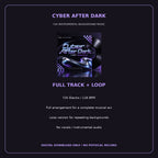 Cyber After Dark – track versions and details